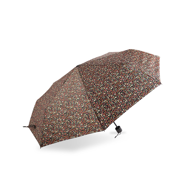 Polyetser Inscálaithe Laethúil Le Scáthbhrat Trí-huaire Brataithe Airgid-0E6B0523